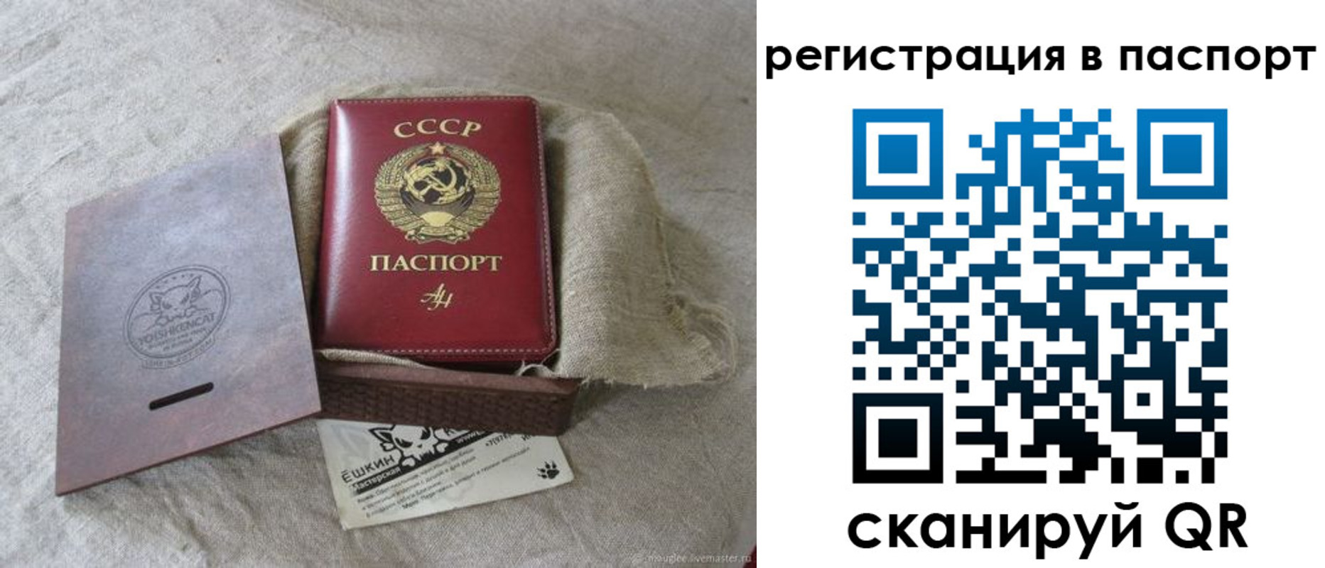 где прописаться в Московской области