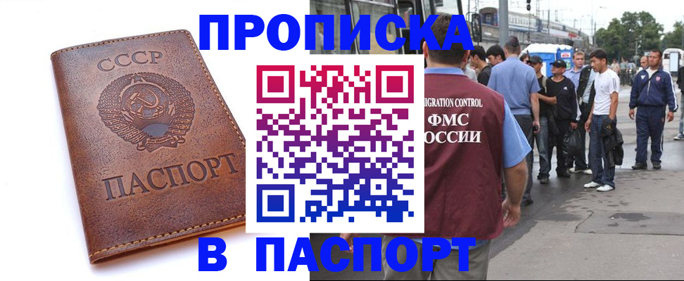 временная регистрация поиск в Московской области